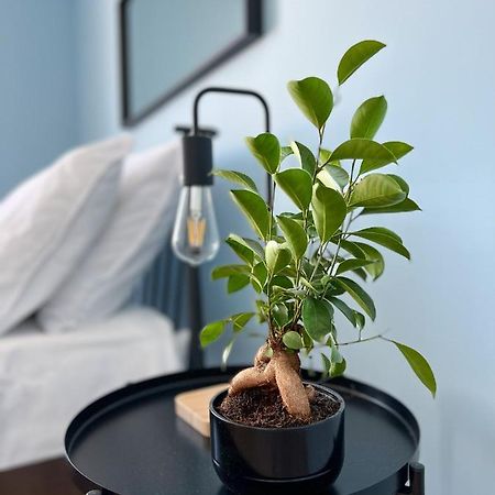 צ'שין Apartamenty Rynek 7 מראה חיצוני תמונה