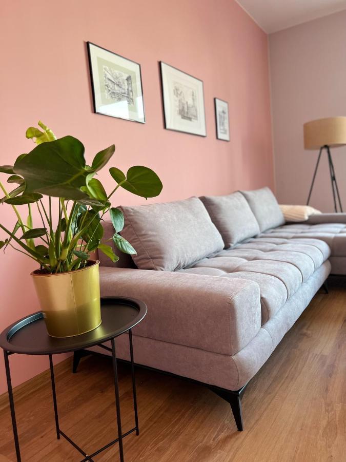 צ'שין Apartamenty Rynek 7 מראה חיצוני תמונה