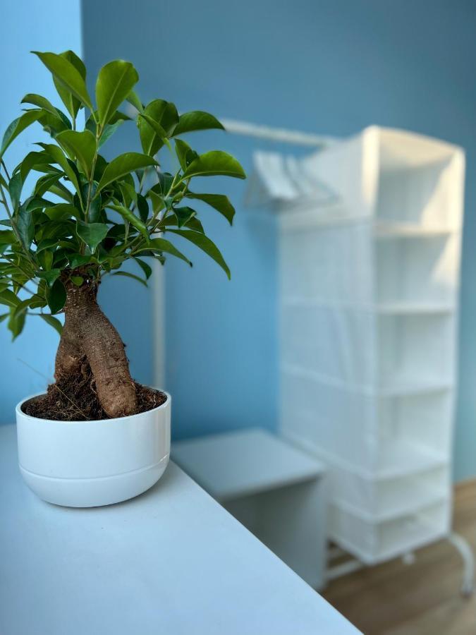 צ'שין Apartamenty Rynek 7 מראה חיצוני תמונה